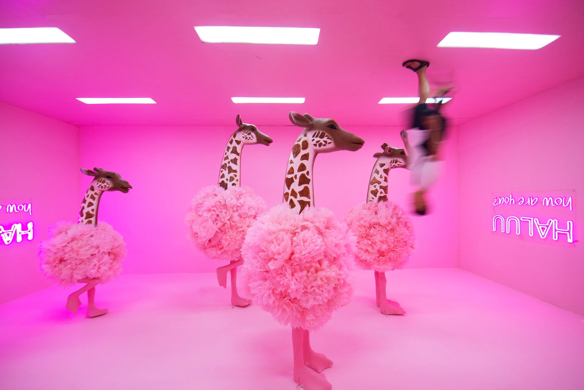 Pink room installation with flower-bodied giraffe sculptures