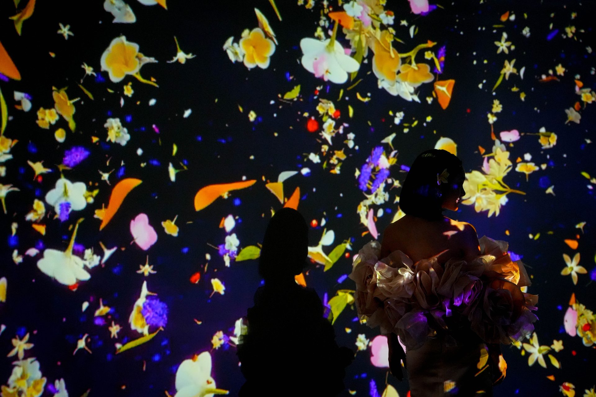 Projected flower petals filling a dark immersive room